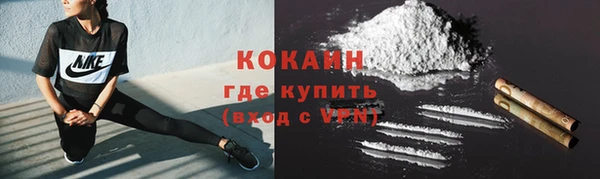 PSILOCYBIN Липки
