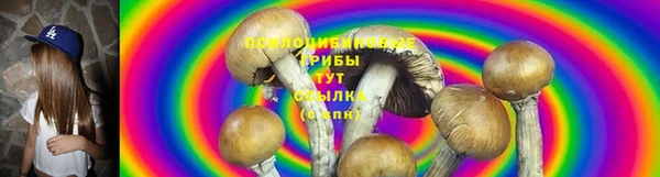 PSILOCYBIN Липки