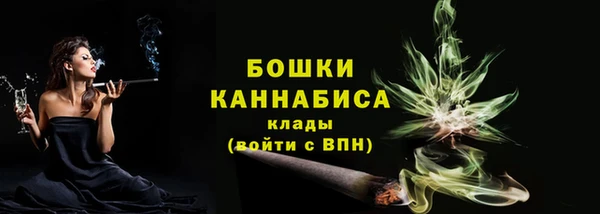 PSILOCYBIN Липки