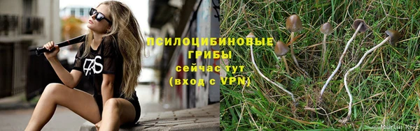 ALPHA-PVP Лиски